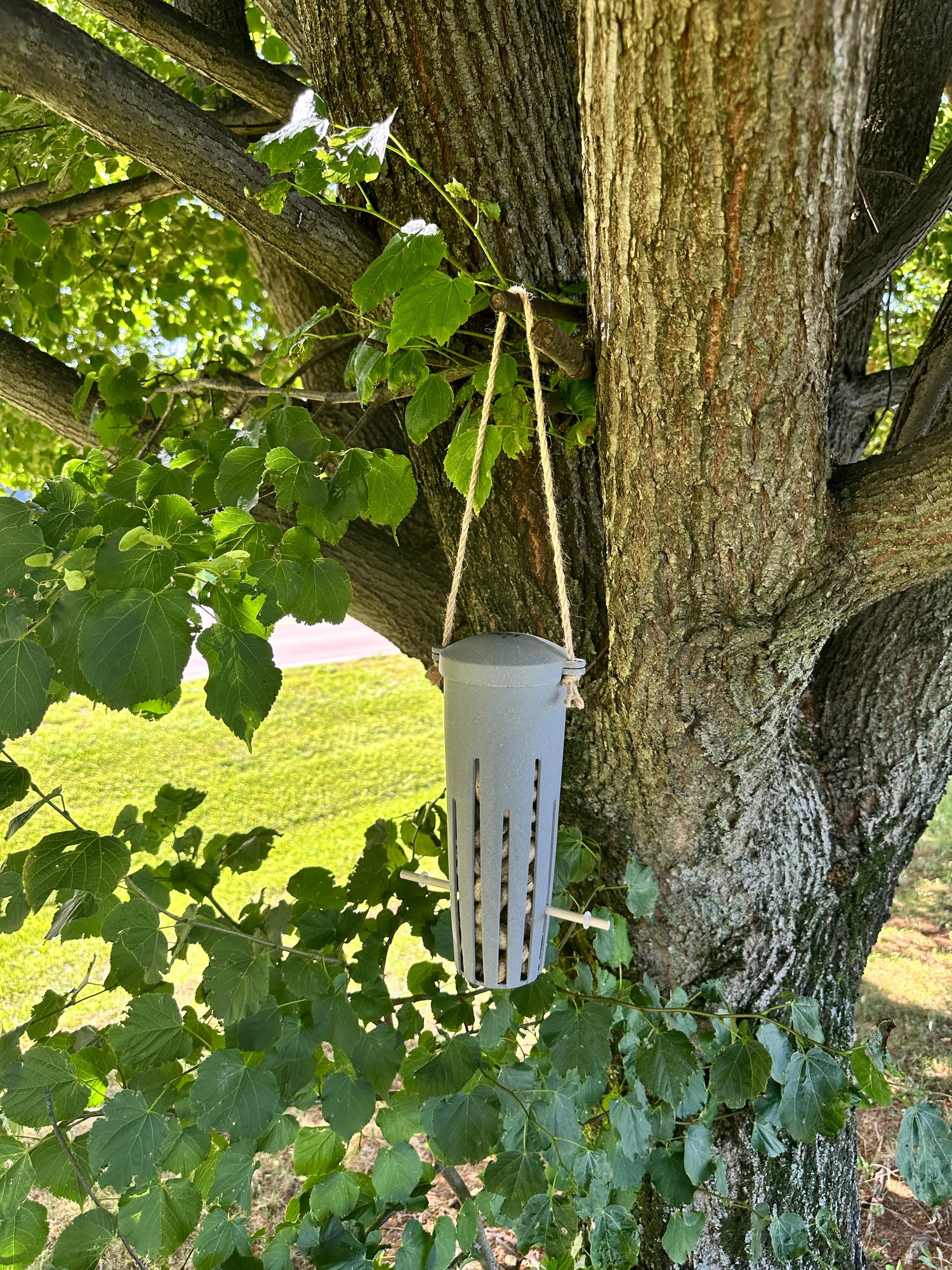 Peanut Feeder - Straw