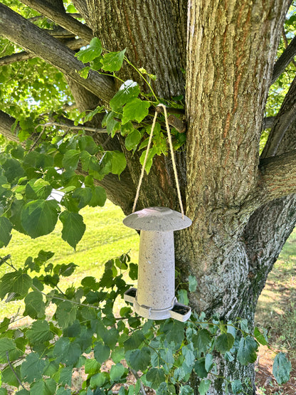 Seed Feeder - Coffee Husks