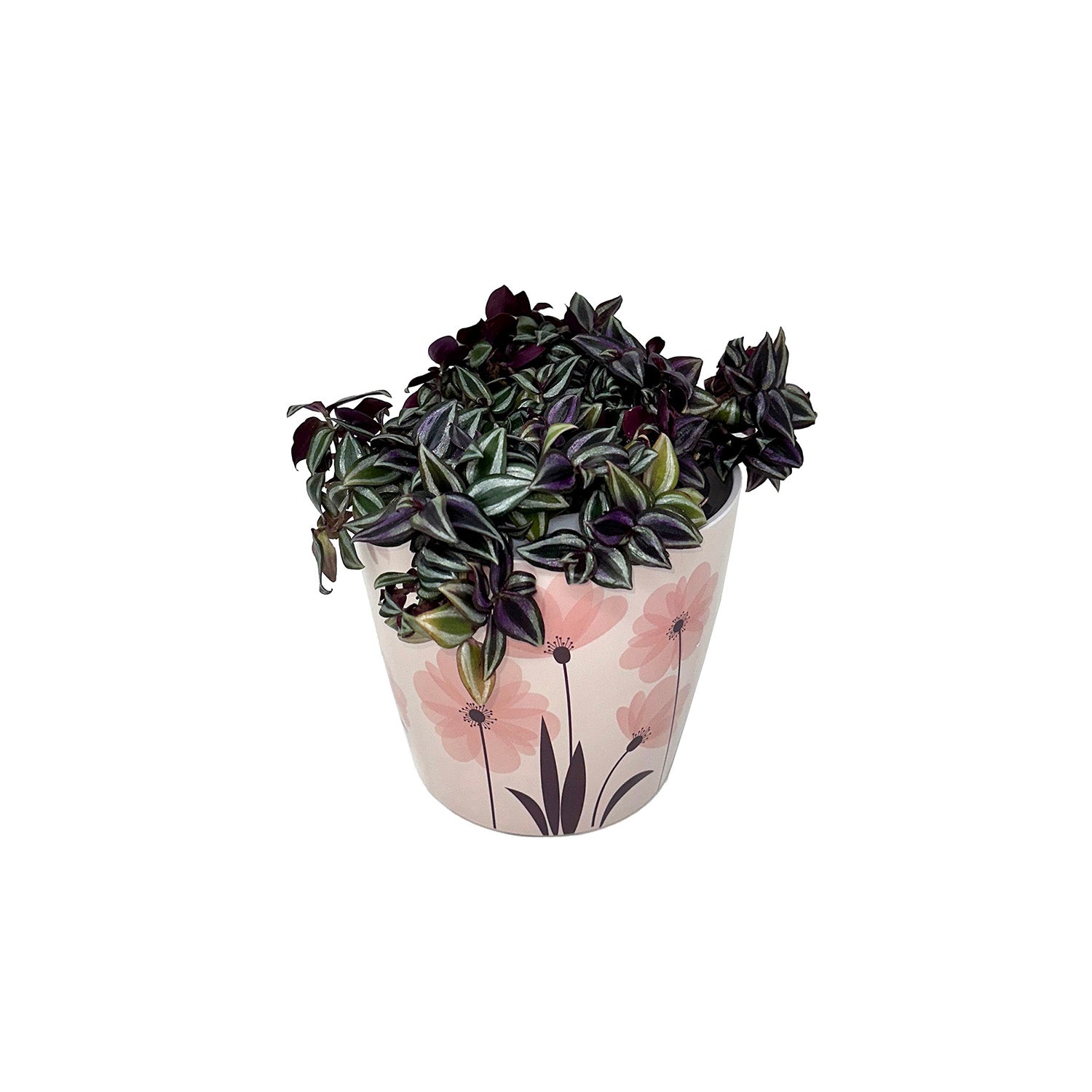 5" Round Self-Watering Bamboo Pot - Pink Flower