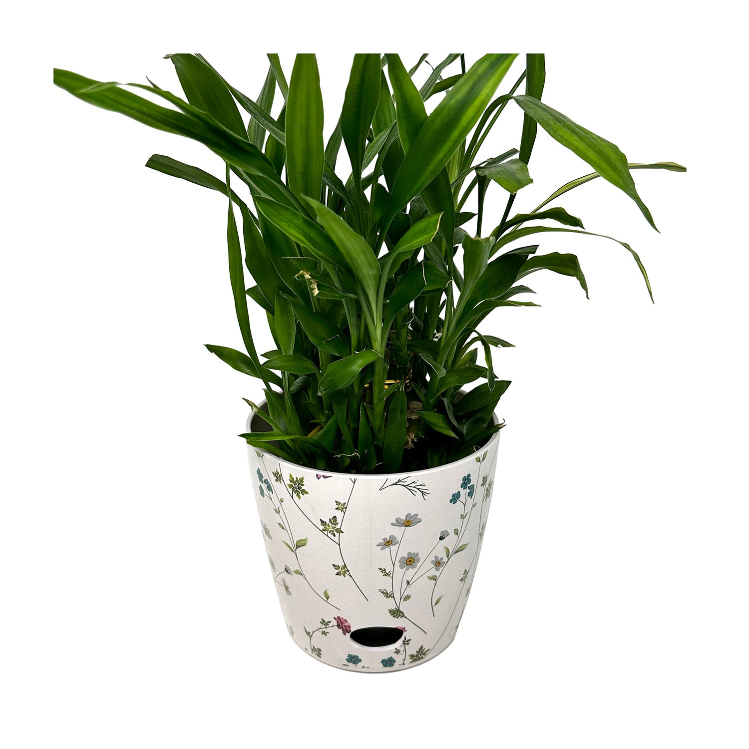 5" Round Self-Watering Bamboo Pot - Wildflower