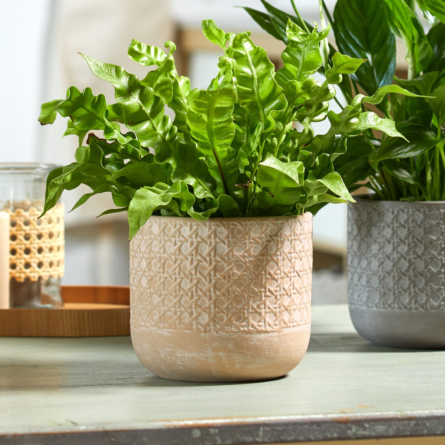 Vienna Ceramic Pot - 5.1" Natural Beige