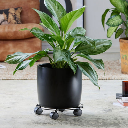 Steel Wire Plant Caddy - 11.8" Round Black