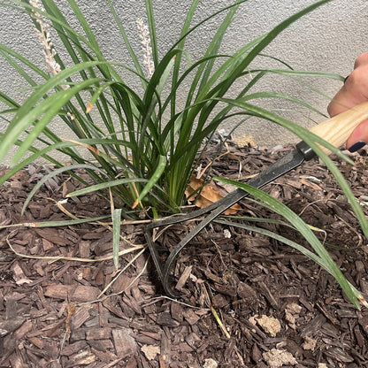 DeWit Cultivator - Bio Rake