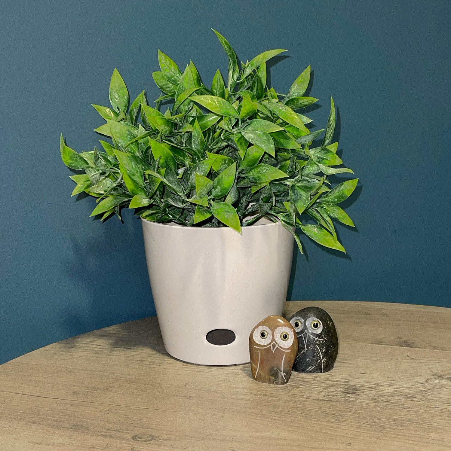 5" Round Self-Watering Bamboo Pot - Cream