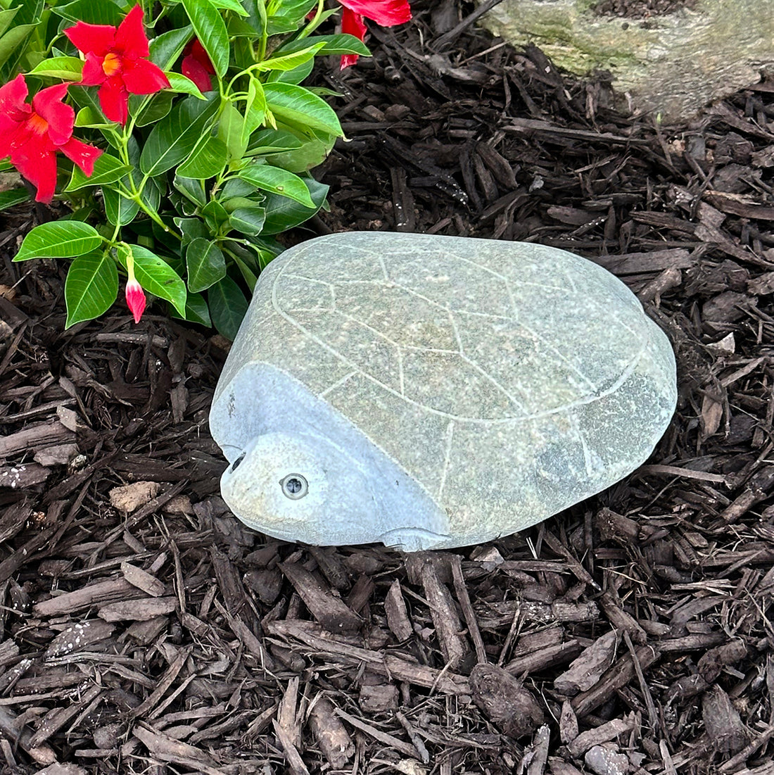 Boulder Turtle - 14" H