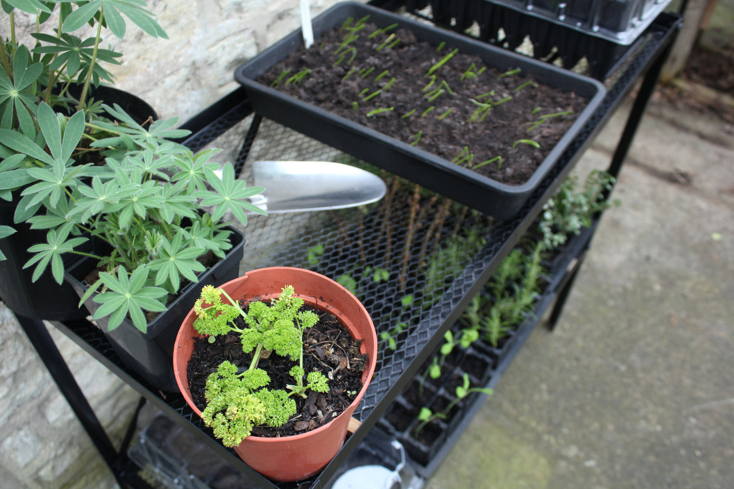 Rootrainer Racking Station