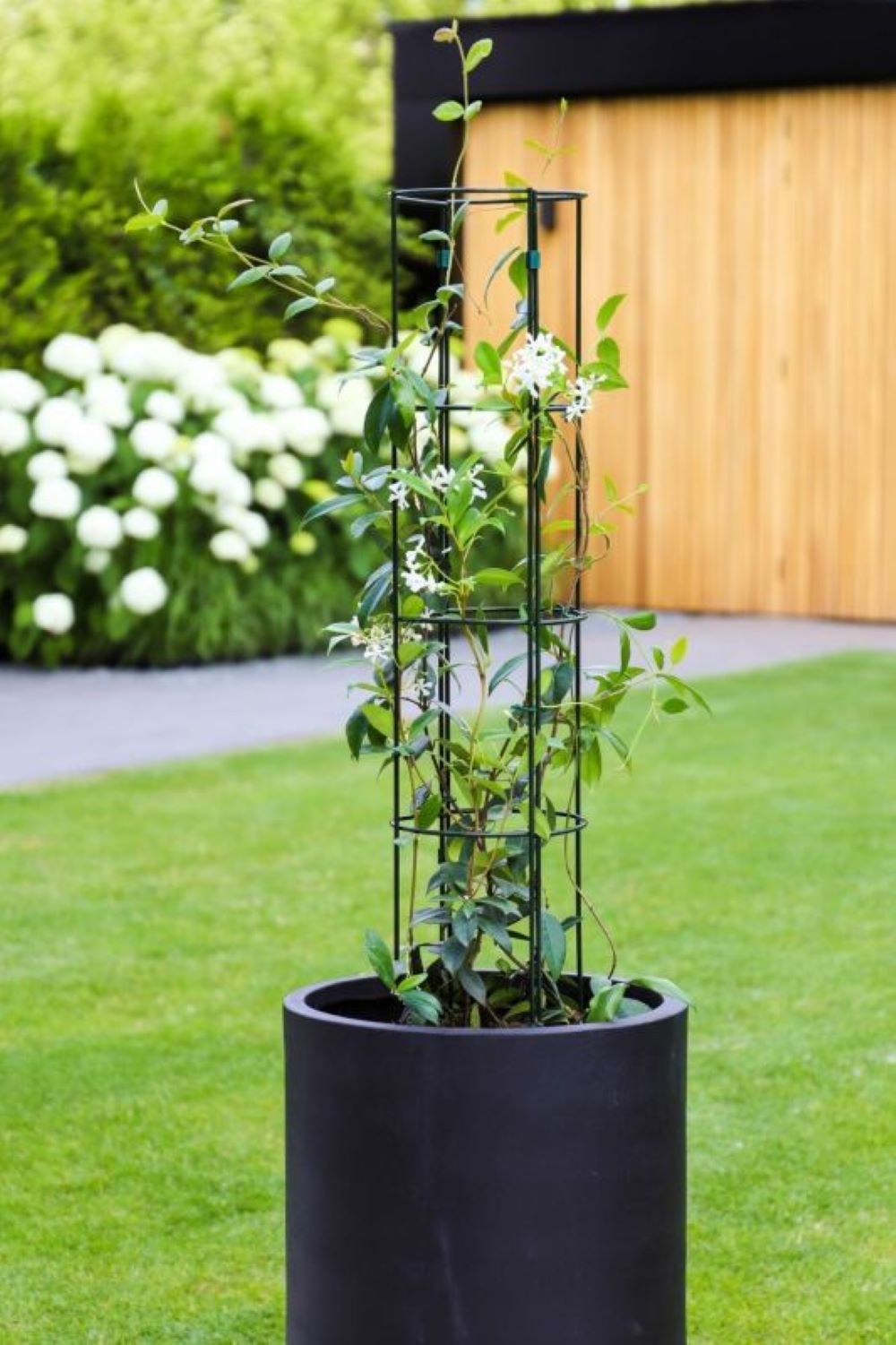 Plant Trellis Kit - Small Circle
