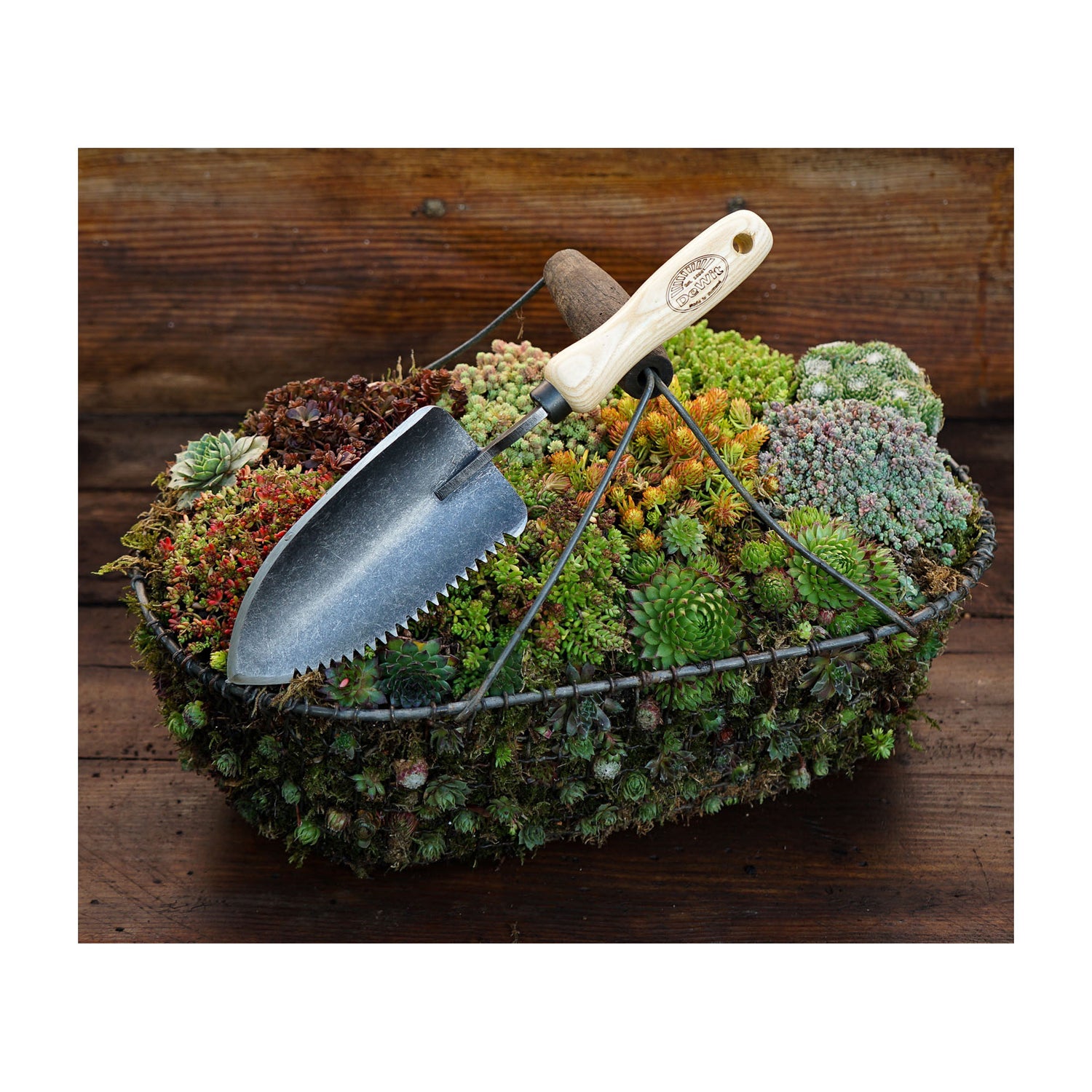 DeWit Trowel - Welldone Serrated