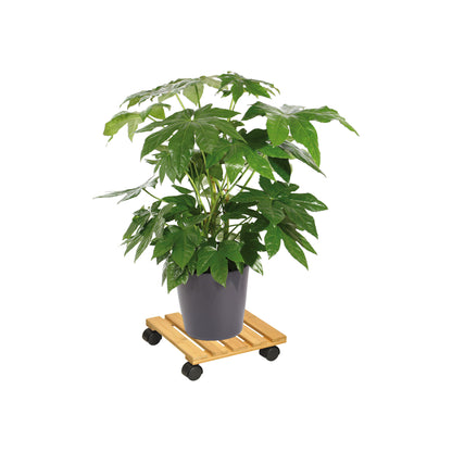 Bamboo Plant Caddy - 11.4" Square