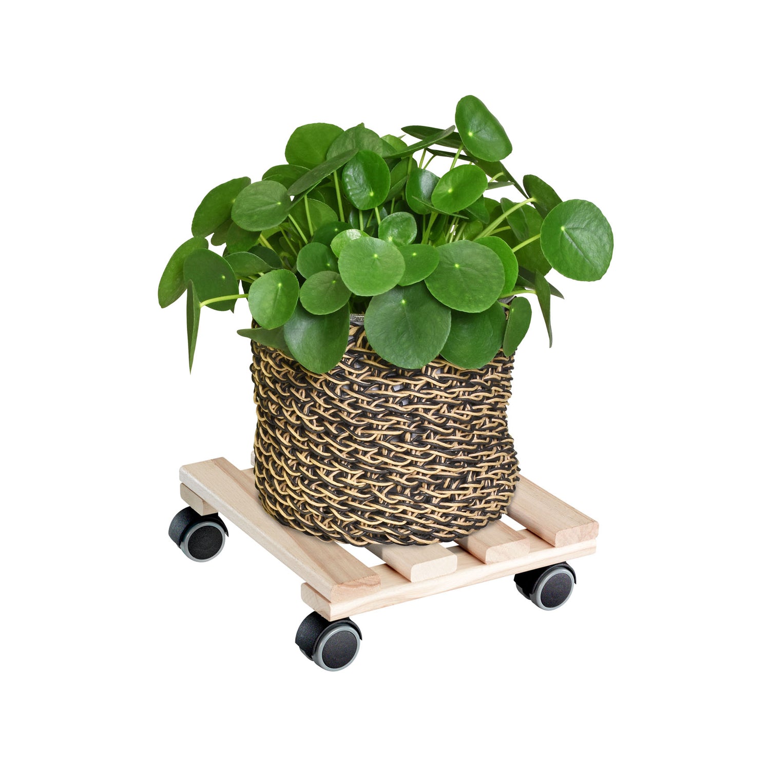 Wooden Plant Caddy - 10" Natural Square
