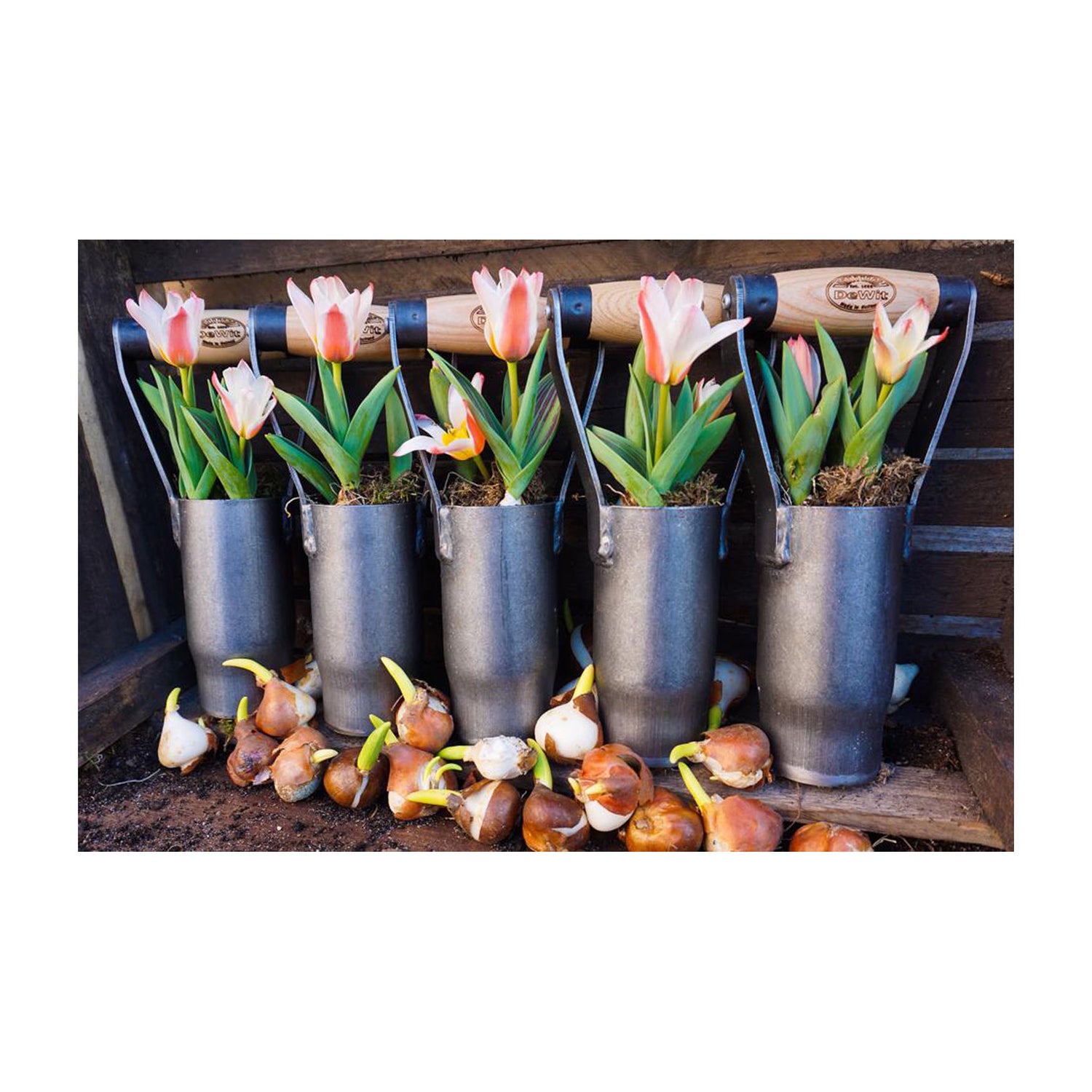 DeWit Bulb Planter - British