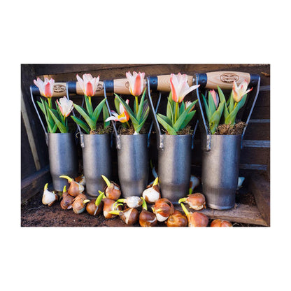 DeWit Bulb Planter - British