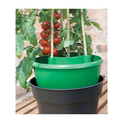 Plant Halos Watering &amp; Plant Support - Green pack of 3