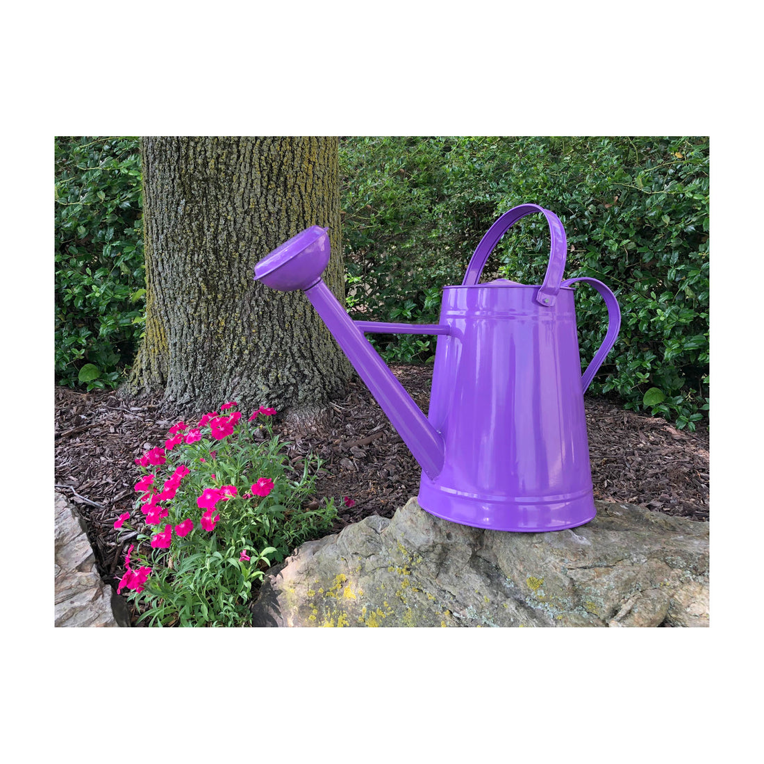 Metal Watering Can - 2.1 gal Violet