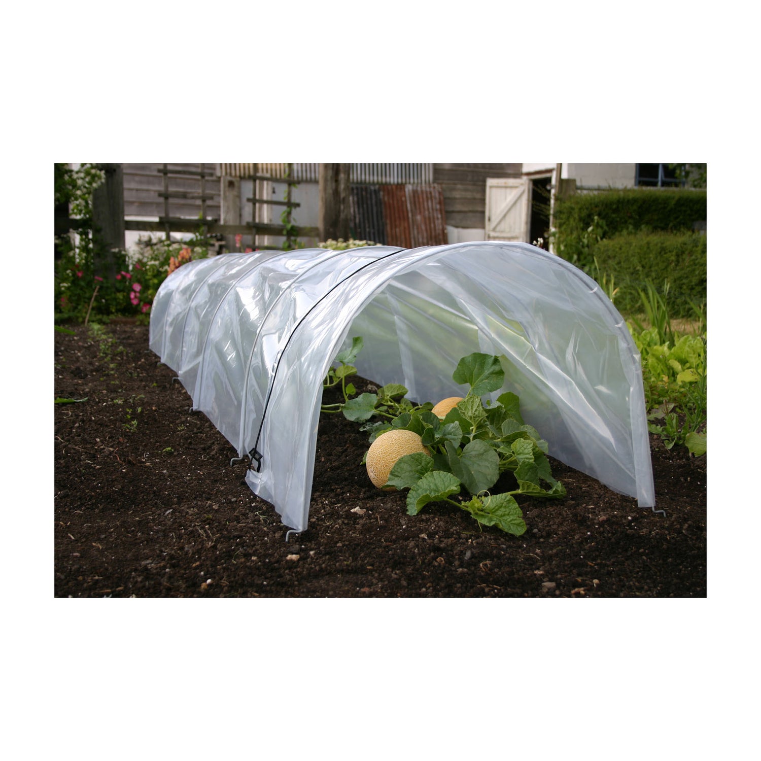 Easy Poly Tunnel - Giant