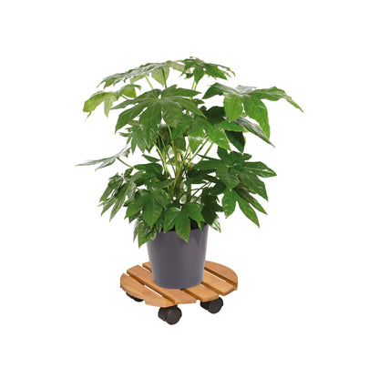 Bamboo Plant Caddy  - 11.4" Round