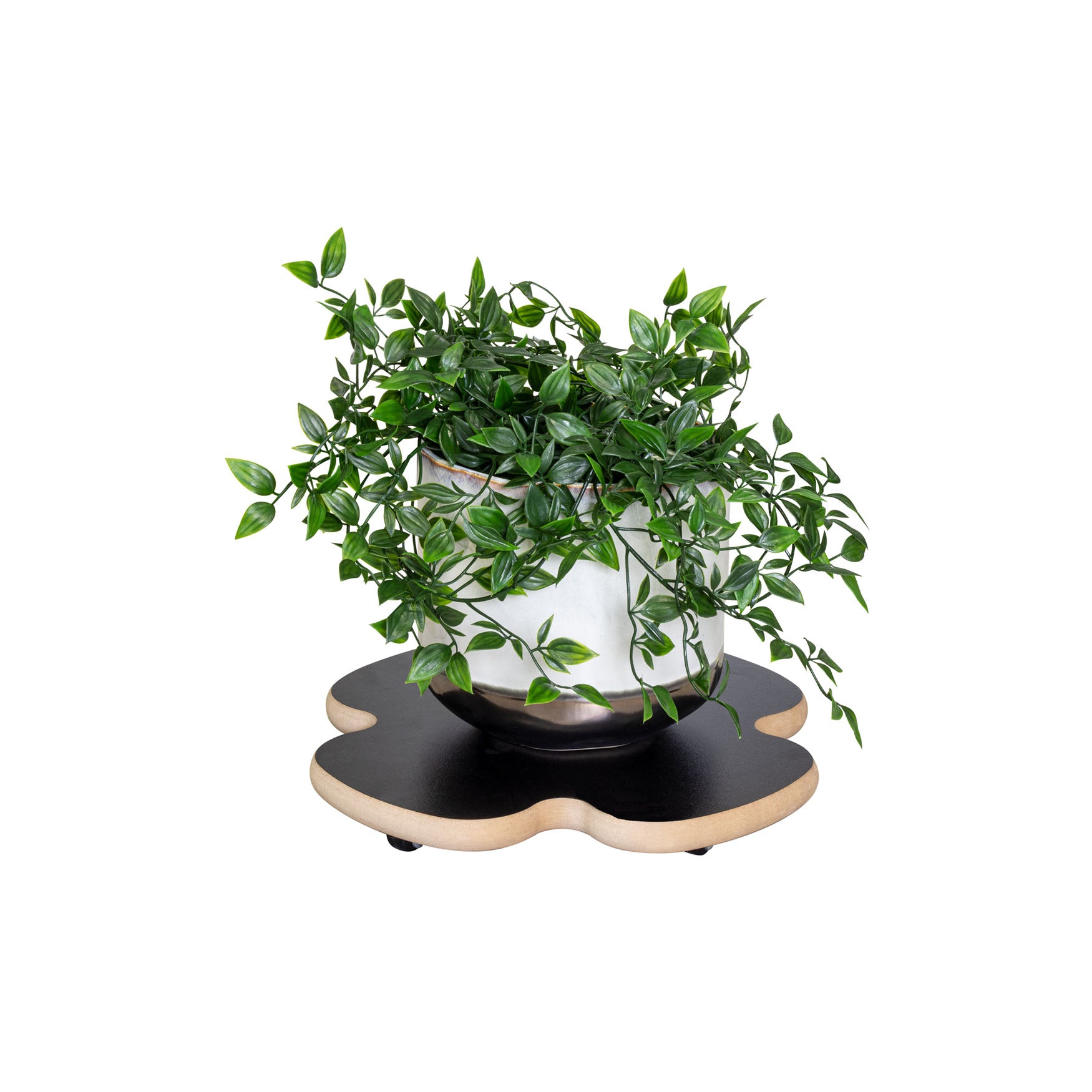 Clover Decor Plant Caddy  - 13" Black