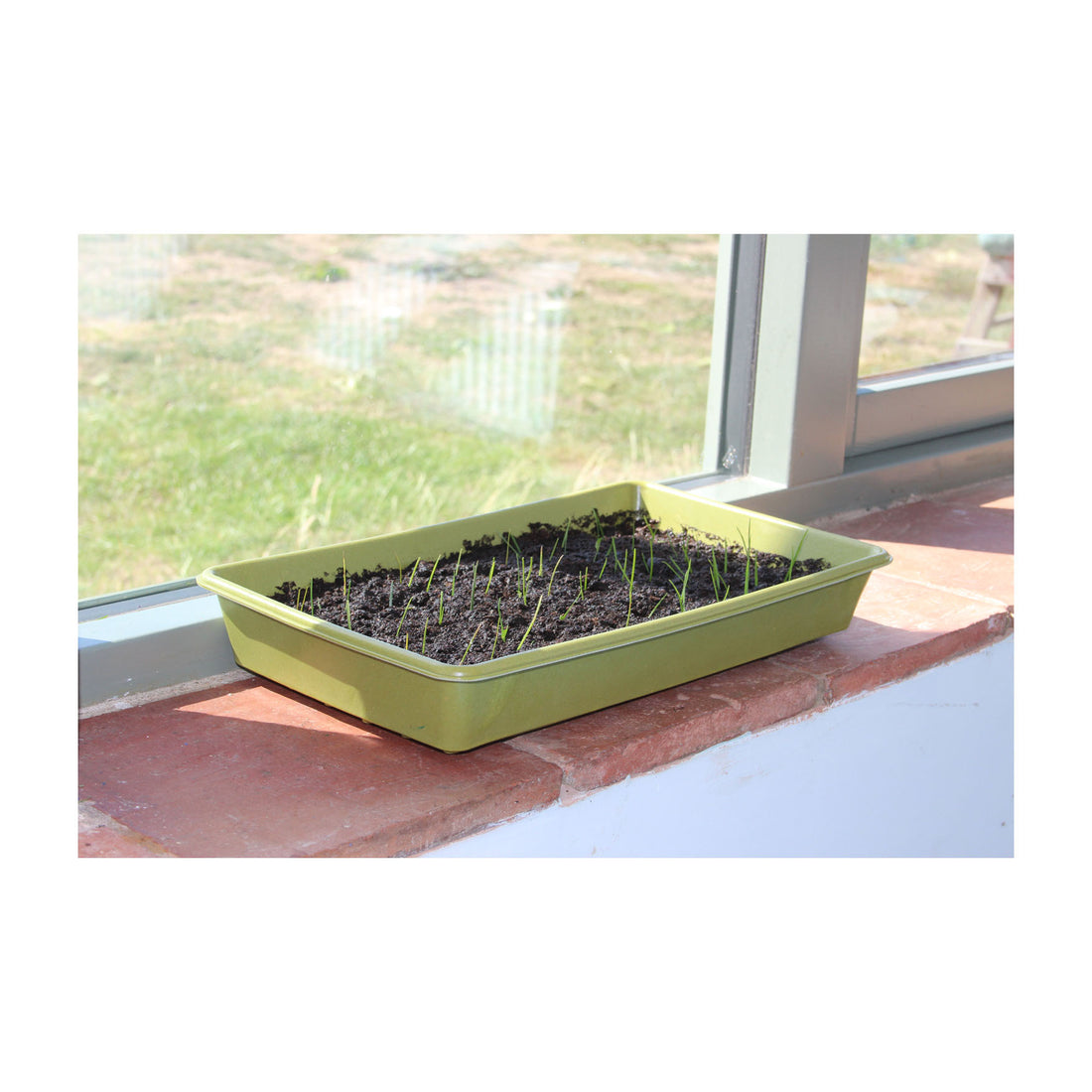 Seed Tray - Bamboo