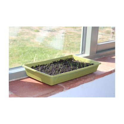 Seed Tray - Bamboo