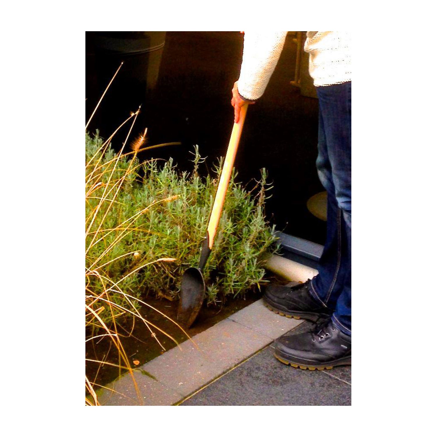 DeWit Scoop - Compost Digging with T-Handle