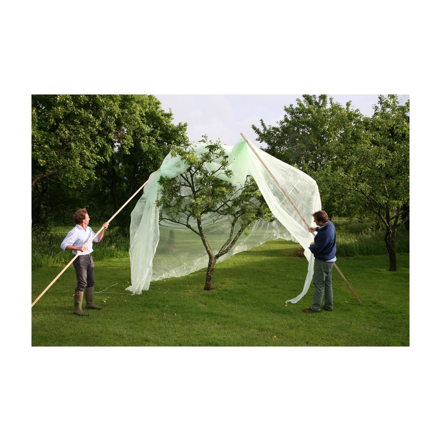 Fruit Tree Cover - 9.8&