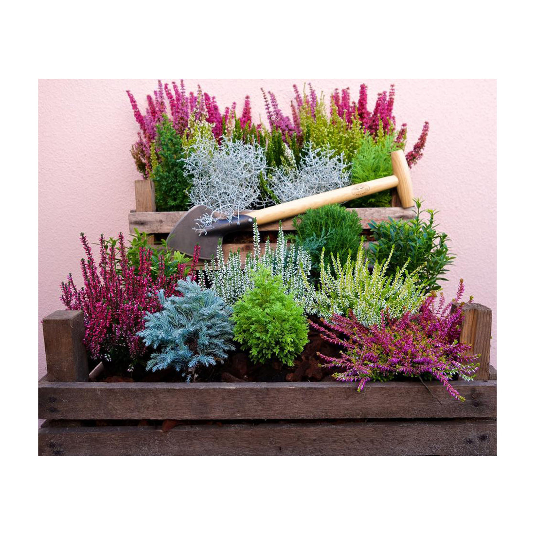 DeWit Spade - Perennial with Long Handle