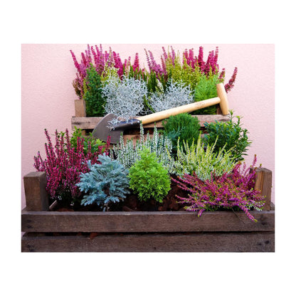 DeWit Spade - Perennial with Long Handle