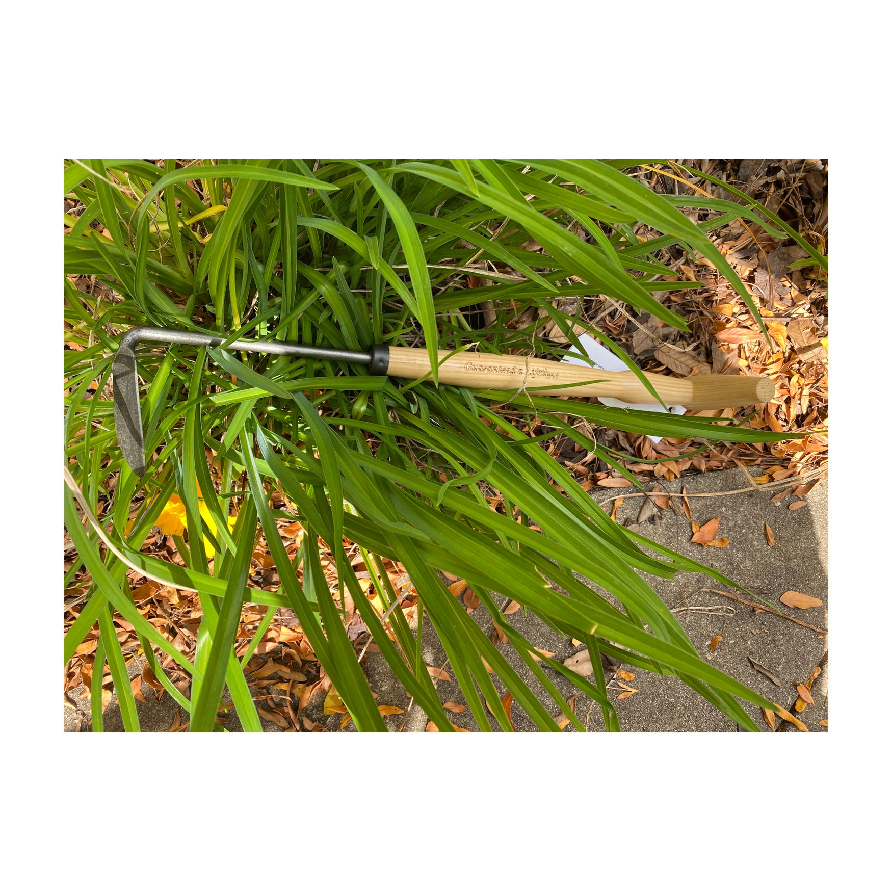 DeWit Weeder - Cape Cod Left Handed with P-Grip Handle