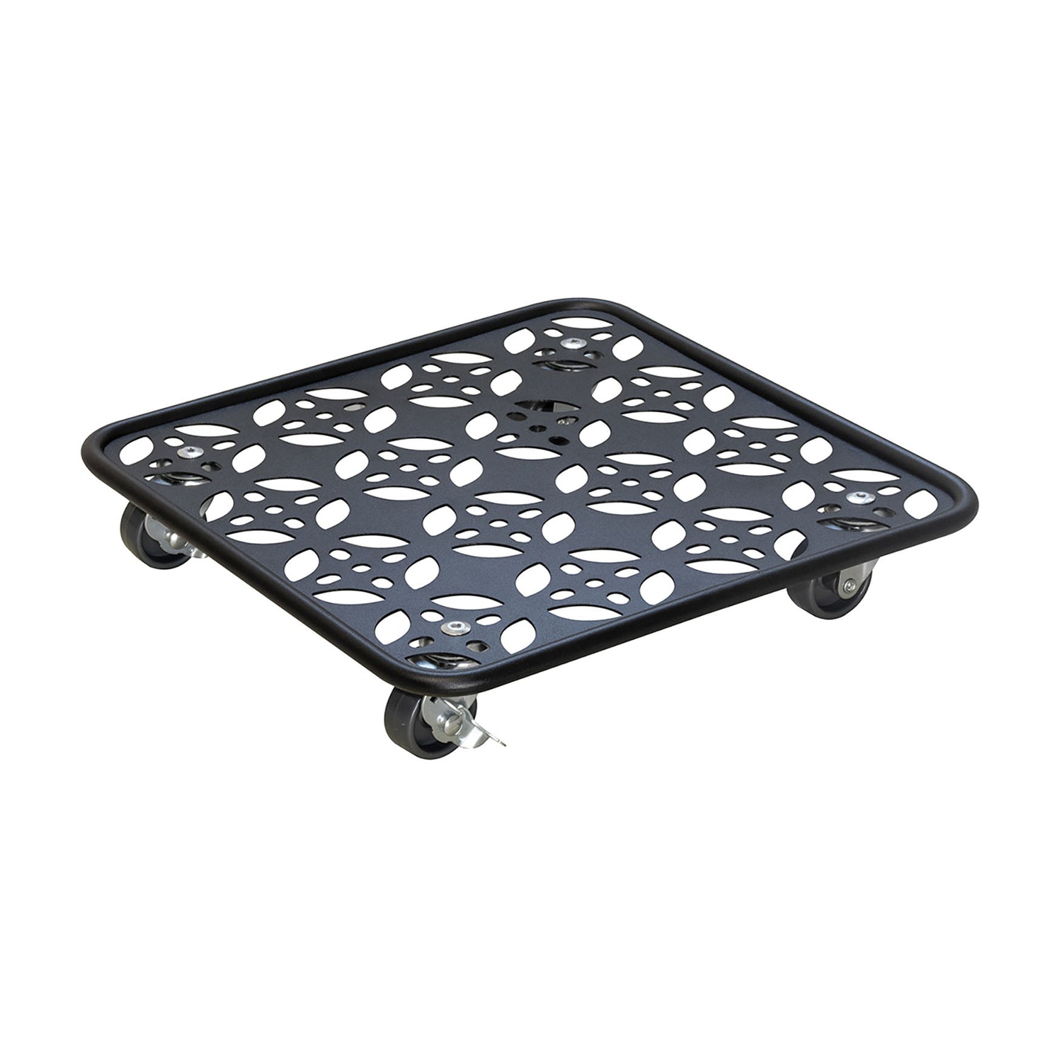 Steel Plant Caddy - 11.8" Black Square Flower