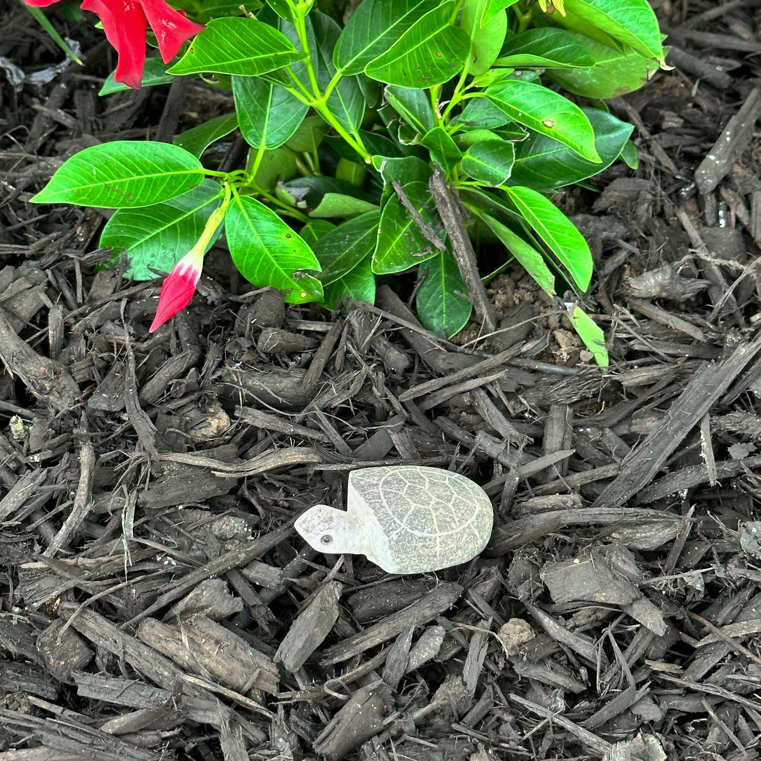 Boulder Turtle - 2" H