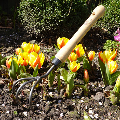 DeWit Cultivator with Midsize Handle