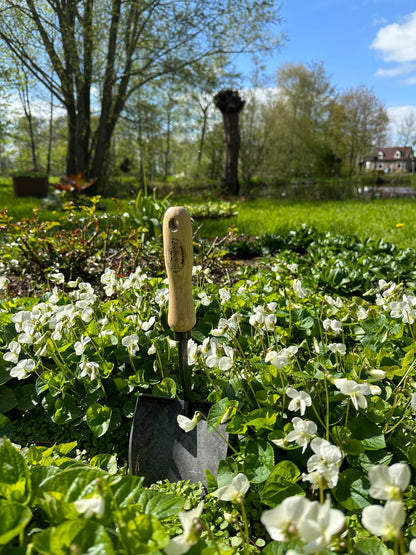 DeWit Shovel - Mini American