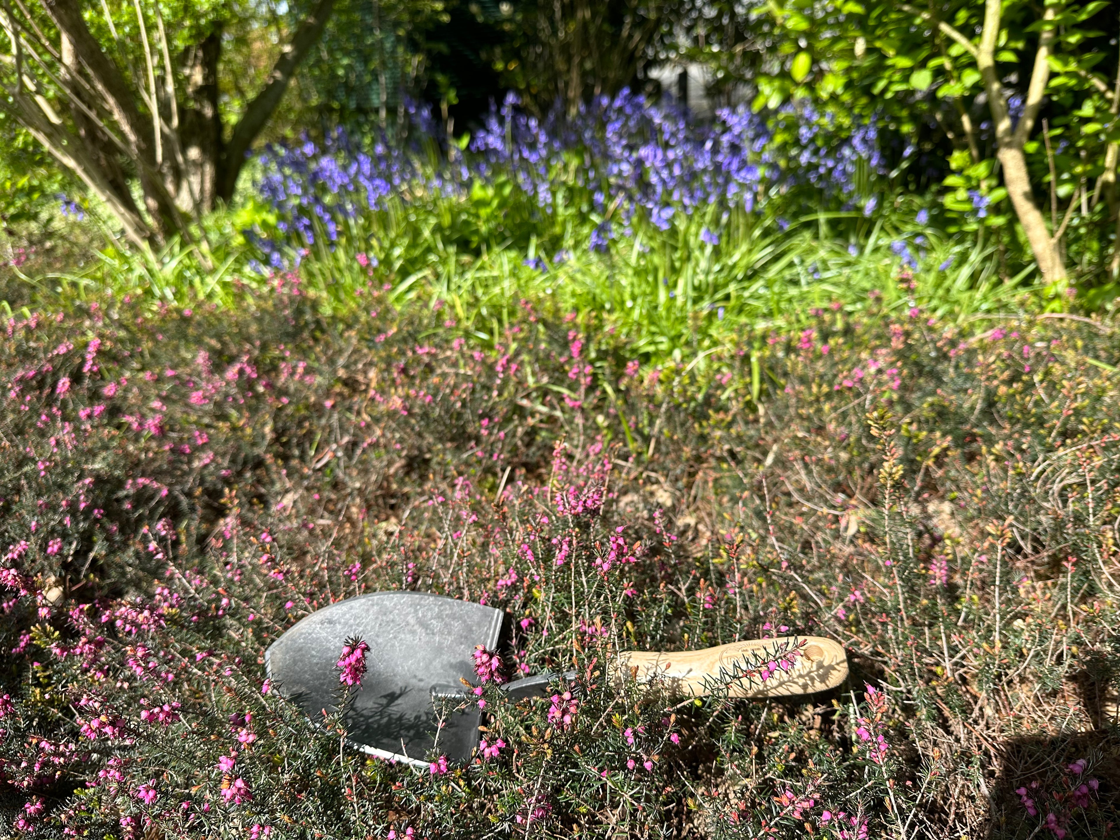 DeWit Shovel - Mini American